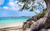 Туры в отель Comfort Suites Seven Mile Beach Cayman Islands