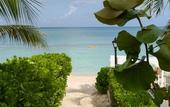 Туры в отель Comfort Suites Seven Mile Beach Cayman Islands