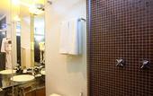Туры в отель Ferraretto Guaruja Hotel & Spa