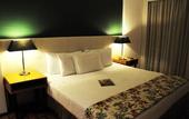 Туры в отель Ferraretto Guaruja Hotel & Spa