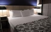 Туры в отель Ferraretto Guaruja Hotel & Spa