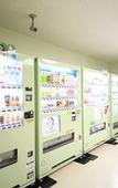 Туры в отель Hotel Mahoroba