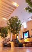 Туры в отель Authent Hotel Otaru