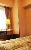 Туры в отель Hotel Route Inn Asahikawa Ekimae Ichijodori