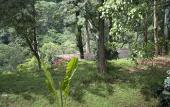 Туры в отель Kaliwa Lodge