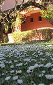 Туры в отель La Villa Duflot Hotel & Spa Perpignan