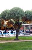 Туры в отель La Villa Duflot Hotel & Spa Perpignan