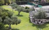 Туры в отель Crisol Jardines de Cordoba