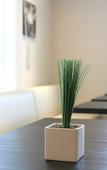Туры в отель Hotel Vista Kumamoto Airport