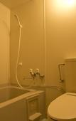 Туры в отель Hotel Oak Forest