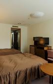 Туры в отель Hotel Oak Forest