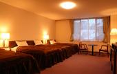 Туры в отель Hotel Oak Forest