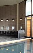 Туры в отель Hotel Oak Forest