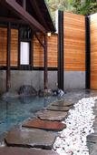 Туры в отель Hotel Oak Forest