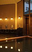 Туры в отель Hotel Oak Forest