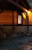 Туры в отель Hotel Oak Forest