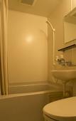 Туры в отель Hotel Oak Forest