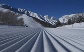 Туры в отель Hotel Oak Forest