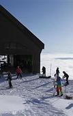 Туры в отель Hotel Oak Forest