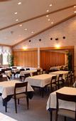 Туры в отель Hotel Oak Forest