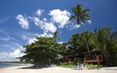 Туры в отель Amhsa Marina Playa Real Beach Resort