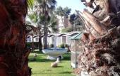 Туры в отель HOTEL FEDERICO II