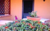 Туры в отель HOTEL FEDERICO II