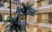 Туры в отель VP Jardin Metropolitano