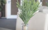 Туры в отель Hotel Am Wall Soest