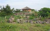 Туры в отель Kia Lodge