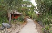 Туры в отель Kia Lodge