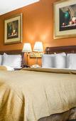 Туры в отель Ramada by Wyndham Rome / Verona