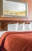 Туры в отель Ramada by Wyndham Rome / Verona