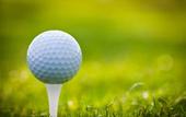 Туры в отель The Brook at Turning Stone Resort Casino