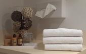 Туры в отель ibis Styles Rennes Cesson