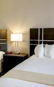 Туры в отель Quality Inn & Suites Bryan-College Station