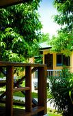 Туры в отель Dreamland Resort