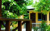 Туры в отель Dreamland Resort
