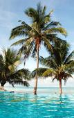 Туры в отель Dreamland Resort