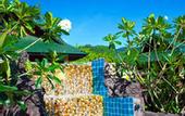 Туры в отель Dreamland Resort