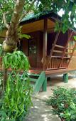 Туры в отель Dreamland Resort