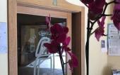 Туры в отель Hotel Su Giganti