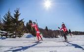 Туры в отель Les Loges du Park – residence hoteliere