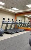 Туры в отель Hilton Scranton & Conference Center