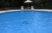 Туры в отель Aki Grand Hotel & Spa