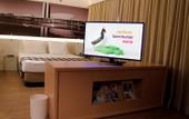 Туры в отель ibis Styles Brasilia Aeroporto