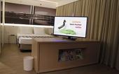 Туры в отель ibis Styles Brasilia Aeroporto