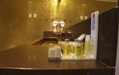 Туры в отель ibis Styles Brasilia Aeroporto