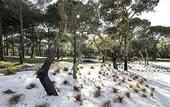 Туры в отель Sublime Comporta Country Retreat & SPA
