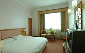 Туры в отель The Paramount Hotel